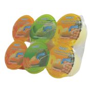Fruchtmixpudding Cocon 708g