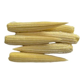 Baby Corn Cob  100g