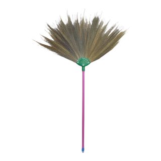 Asian Broom from Thailand 1m